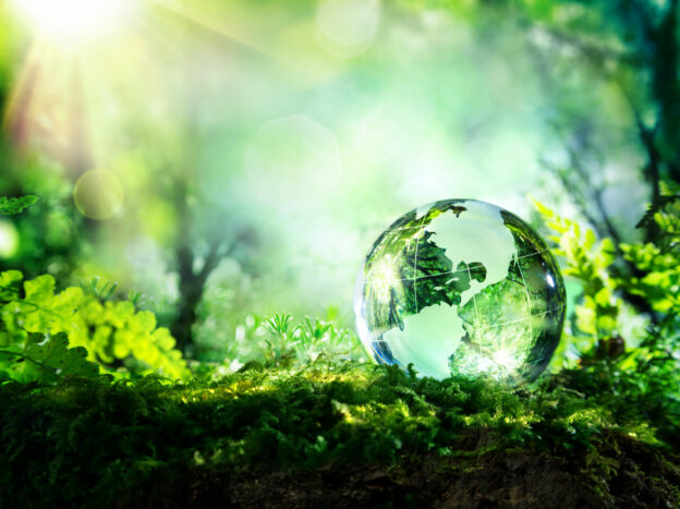 A small glass version of the earth sitting in a thriving green environment